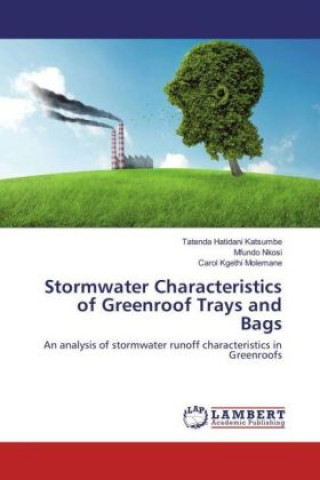 Könyv Stormwater Characteristics of Greenroof Trays and Bags Tatenda Hatidani Katsumbe