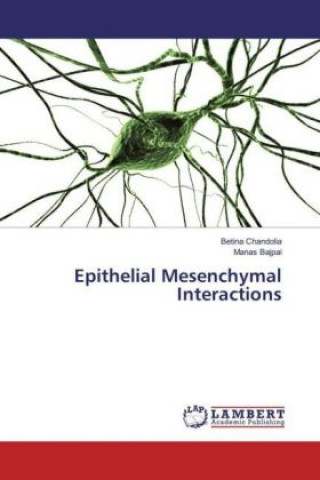 Kniha Epithelial Mesenchymal Interactions Betina Chandolia