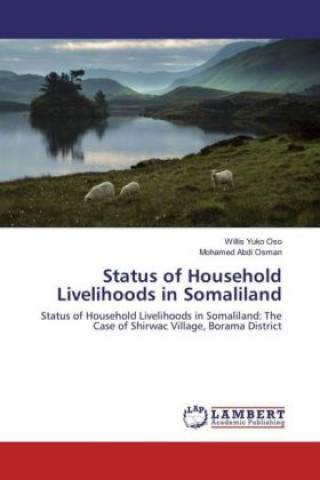 Könyv Status of Household Livelihoods in Somaliland Willis Yuko Oso