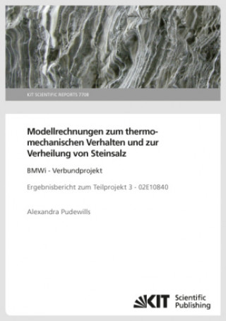 Kniha Modellrechnungen zum thermomechanischen Verhalten und zur Verheilung von Steinsalz: BMWi - Verbundprojekt Ergebnisbericht zum Teilprojekt 3 - 02E10840 Alexandra Pudewills