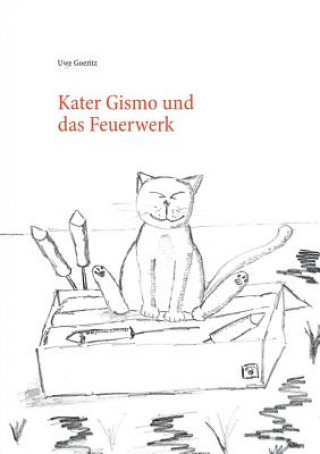 Livre Kater Gismo und das Feuerwerk Uwe Goeritz