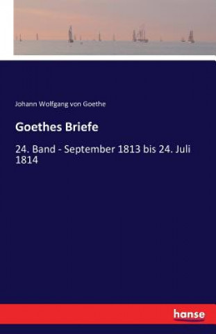 Kniha Goethes Briefe Johann Wolfgang Von Goethe