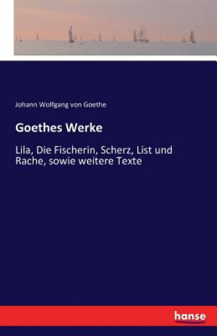 Kniha Goethes Werke Johann Wolfgang Von Goethe