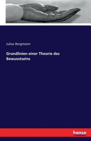 Könyv Grundlinien einer Theorie des Bewusstseins Julius Bergmann