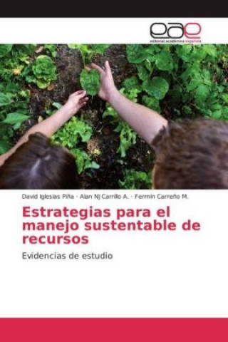 Kniha Estrategias para el manejo sustentable de recursos David Iglesias Piña