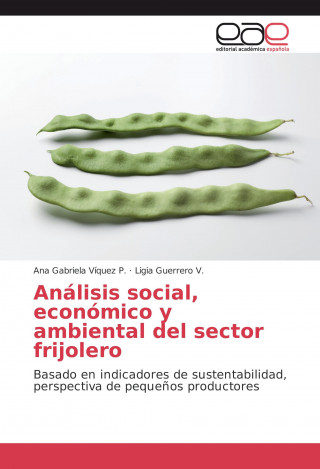 Carte Análisis social, económico y ambiental del sector frijolero Ana Gabriela Víquez P.