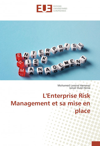 Kniha L'Enterprise Risk Management et sa mise en place Mohamed Lamine Hammaz