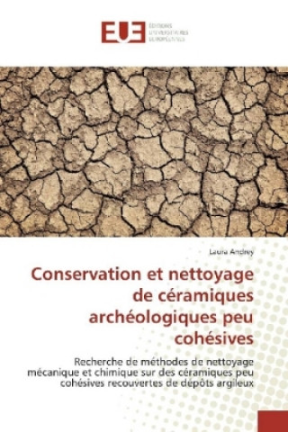 Kniha Conservation et nettoyage de céramiques archéologiques peu cohésives Laura Andrey