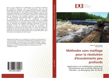 Livre Méthodes sans maillage pour la résolution d'écoulements peu profonds Abdoul-hafar Halassi