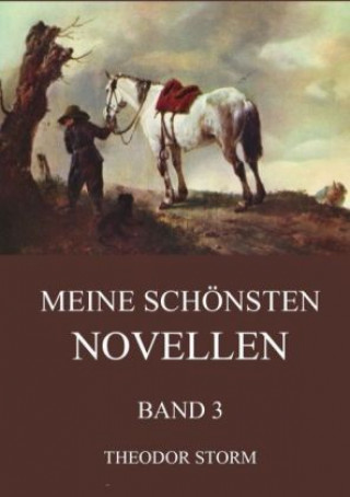 Kniha Meine schönsten Novellen, Band 3 Theodor Storm