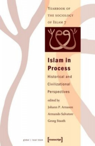 Kniha Islam in Process Johann P. Arnason