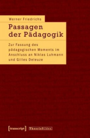 Kniha Passagen der Pädagogik Werner Friedrichs