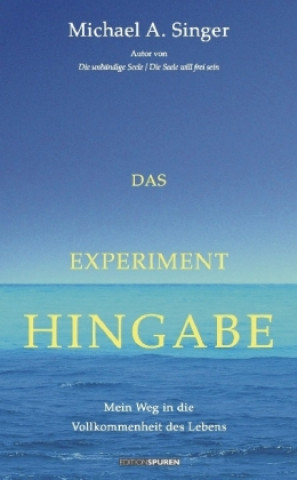 Kniha Das Experiment Hingabe Michael A. Singer