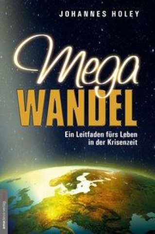 Libro Megawandel Johannes Holey