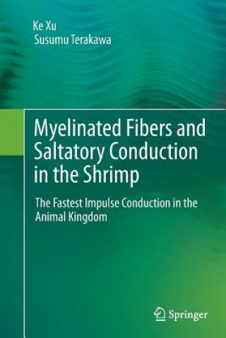 Kniha Myelinated Fibers and Saltatory Conduction in the Shrimp Ke Xu