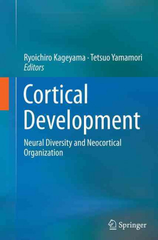 Book Cortical Development Ryoichiro Kageyama