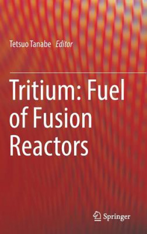 Livre Tritium: Fuel of Fusion Reactors Tetsuo Tanabe