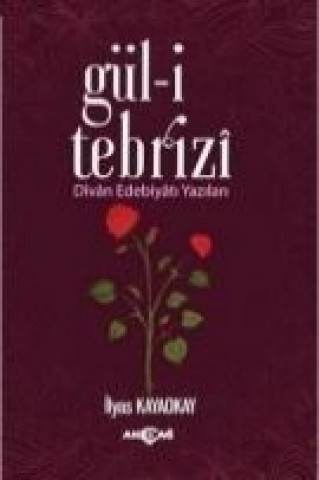 Kniha Gül-i Tebrizi ilyas Kayaokay
