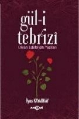 Knjiga Gül-i Tebrizi ilyas Kayaokay