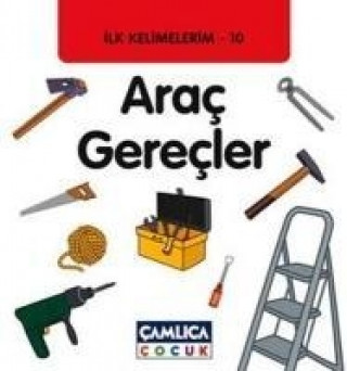 Knjiga Arac Gerecler Kolektif