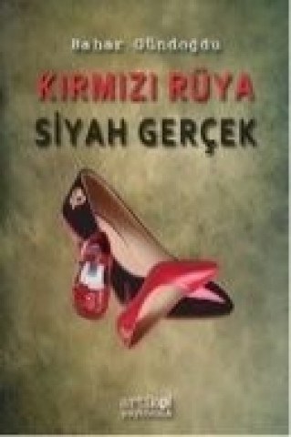 Buch Kirmizi Rüya Siyah Gercek Bahar Gündogdu