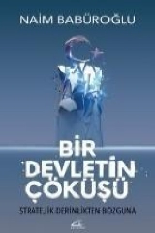 Boek Bir Devletin Cöküsü Naim Babüroglu