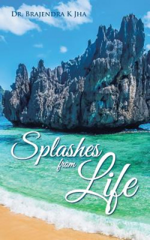 Book Splashes from Life Dr. Brajendra K Jha