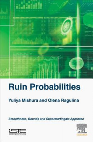 Könyv Ruin Probabilities Yuliya Mishura