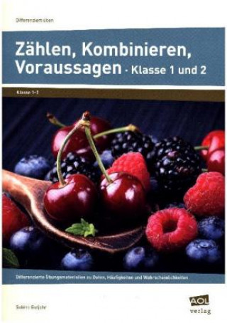Könyv Zählen, Kombinieren, Voraussagen - Klasse 1 und 2 Sabine Gutjahr