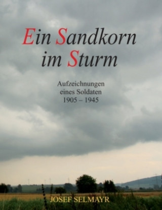Kniha Ein Sandkorn im Sturm Josef Selmayr
