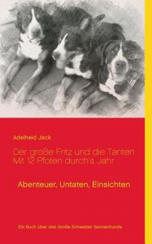 Kniha grosse Fritz und die Tanten - Mit 12 Pfoten durch's Jahr Adelheid Jack