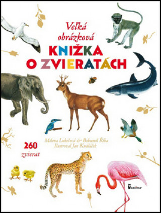 Buch Veľká obrázková knižka o zvieratách 