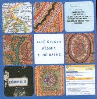 Kniha Kašmír a iné básne Aleš Šteger
