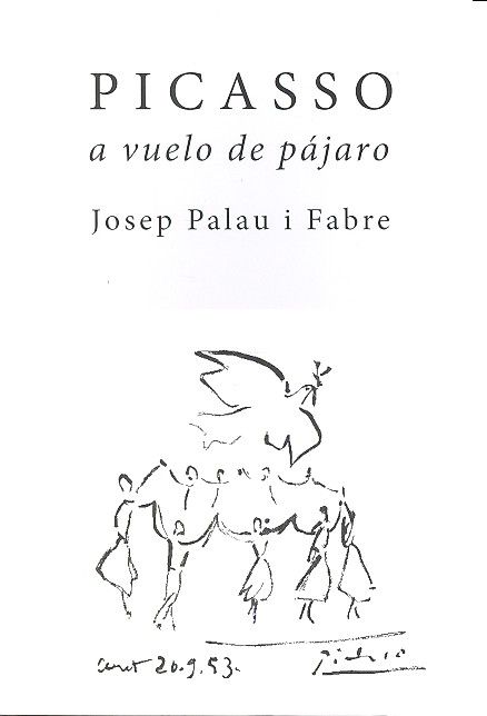 Kniha Picasso a vuelo de pájaro 