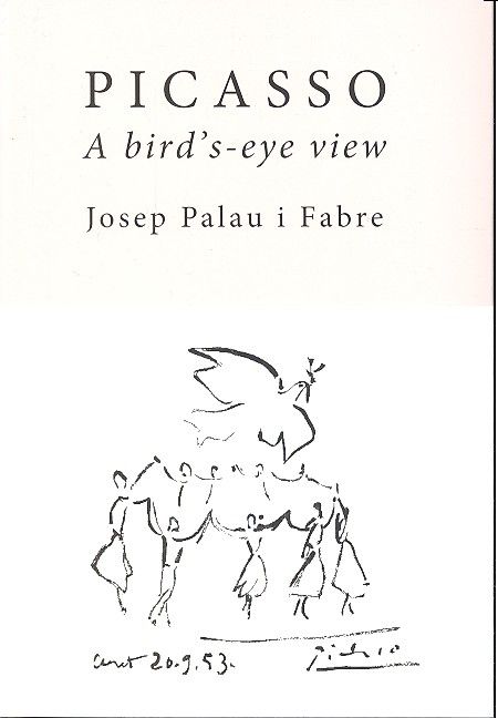 Carte Picasso a Bird's-eye View 