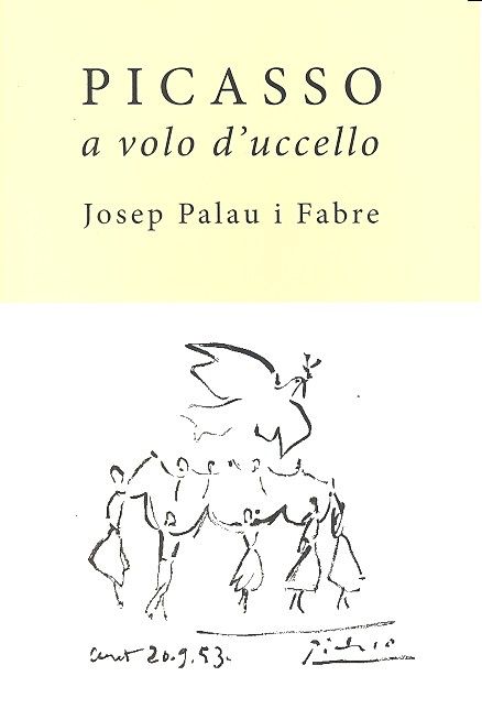 Buch Picasso a volo d`uccello 