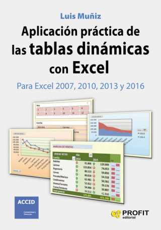 Könyv Aplicación práctica de las tablas dinámicas con Excel LUIS MUÑIZ