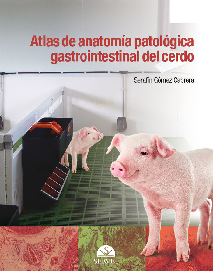 Carte Atlas de anatomía patológica gastrointestinal del cerdo 