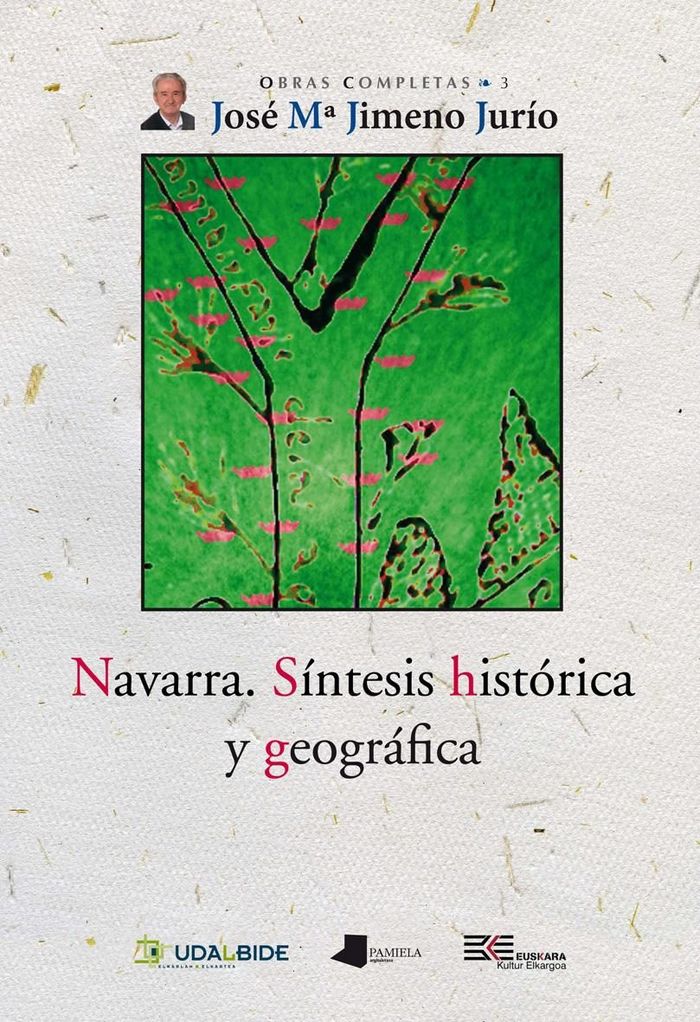 Kniha Navarra : síntesis histórica y geográfica José María Jimeno Jurío