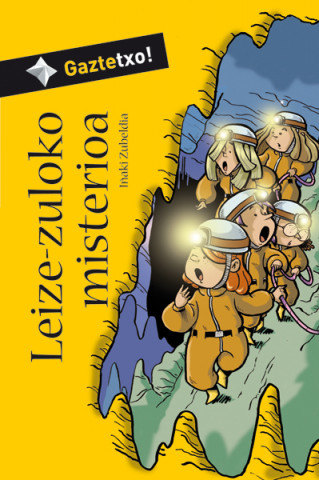 Книга Leize-zuloko misterioa 
