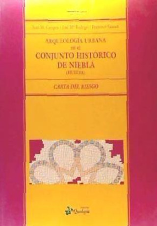 Kniha Arqueología en el conjunto histórico de Niebla (Huelva) : carta de riesgo Juan Manuel Campos Carrasco