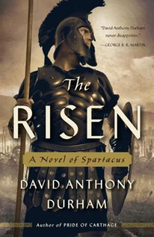 Knjiga Risen David Anthony Durham