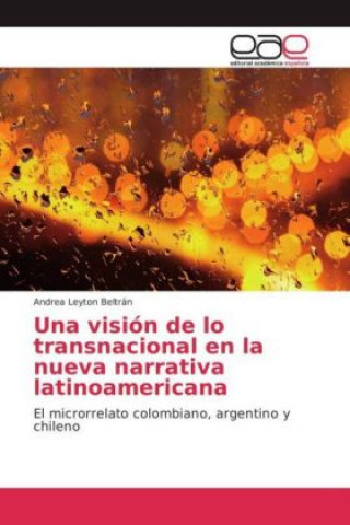 Book Una visión de lo transnacional en la nueva narrativa latinoamericana Andrea Leyton Beltrán