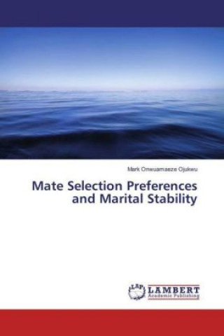 Kniha Mate Selection Preferences and Marital Stability Mark Onwuamaeze Ojukwu