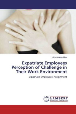 Kniha Expatriate Employees Perception of Challenge in Their Work Environment Hilder Atieno Abur