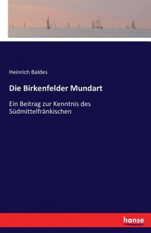 Kniha Birkenfelder Mundart Heinrich Baldes