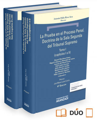 Kniha Prueba en el proceso penal 2 vol 