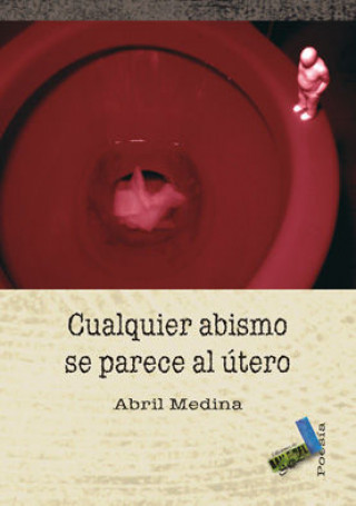 Carte Cualquier abismo se parece al útero Abril Medina