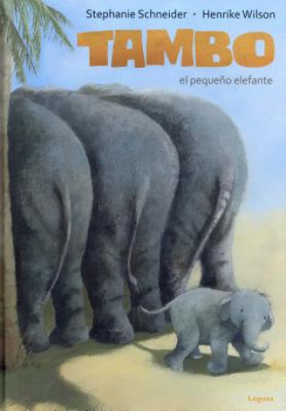 Könyv Tambo El Pequeno Elefante STEPHANIE SCHNEIDER