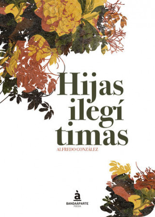Buch Hijas ilegítimas 